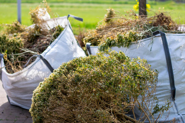 Best Local Junk Hauling  in Jackson Center, OH